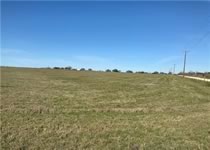 Farm and Ranch property for sale in Nixon Texas
