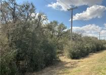 Farm and Ranch property for sale in Westhoff Texas